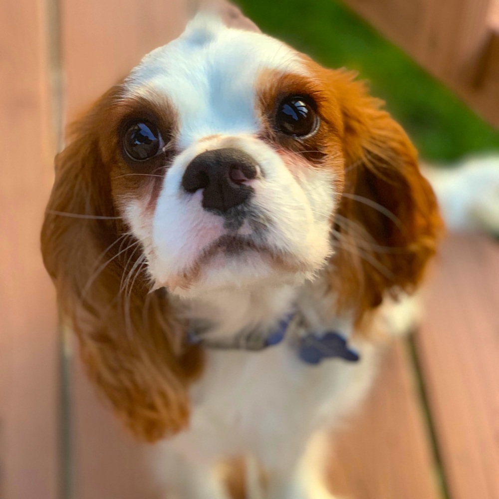 Meet your Posher, Tanya